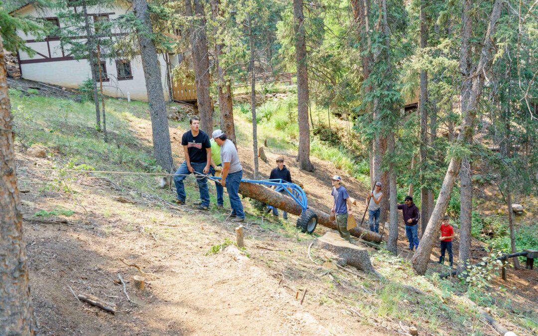 Many hands make light work!